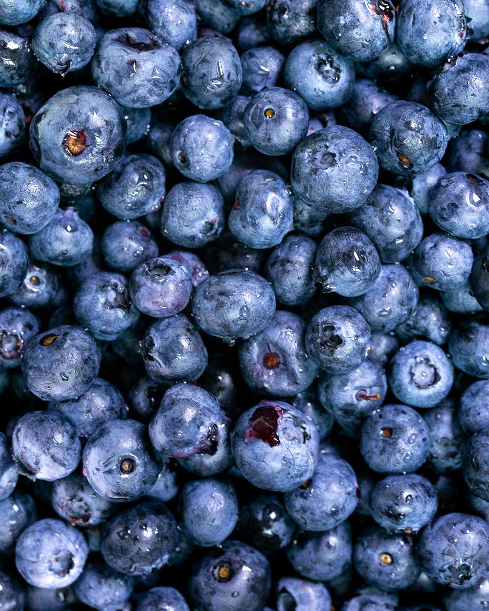 Bulk whole fresh blueberries