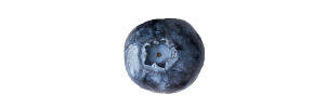 Fresh blueberry