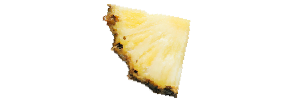 Small pineapple slice