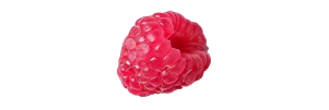 Whole fresh raspberry